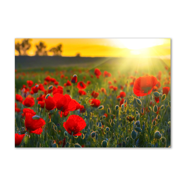 Acrylic wall picture Mak field