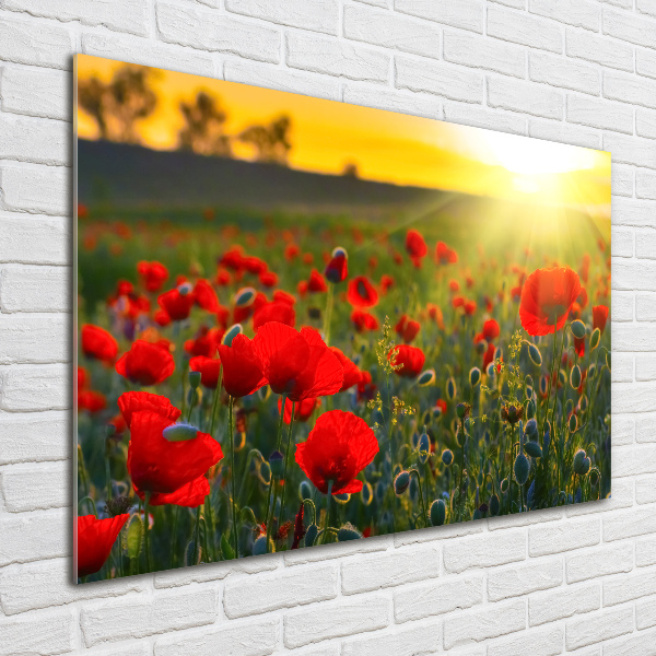 Acrylic wall picture Mak field