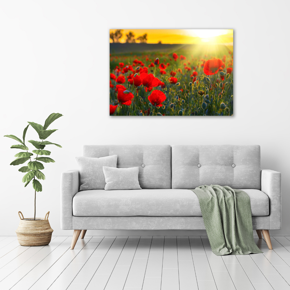 Acrylic wall picture Mak field