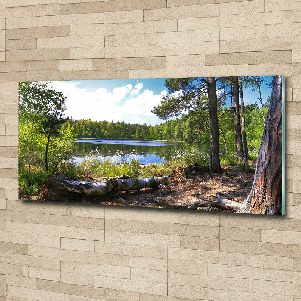 Acrylic wall picture Forest panorama