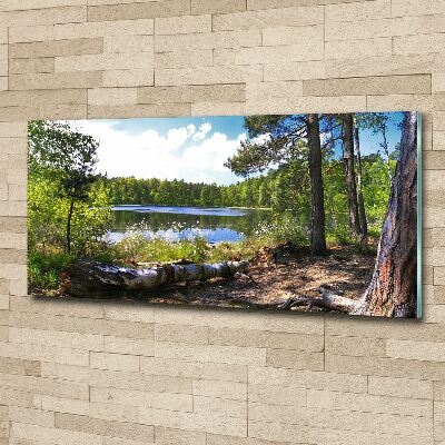 Acrylic wall picture Forest panorama