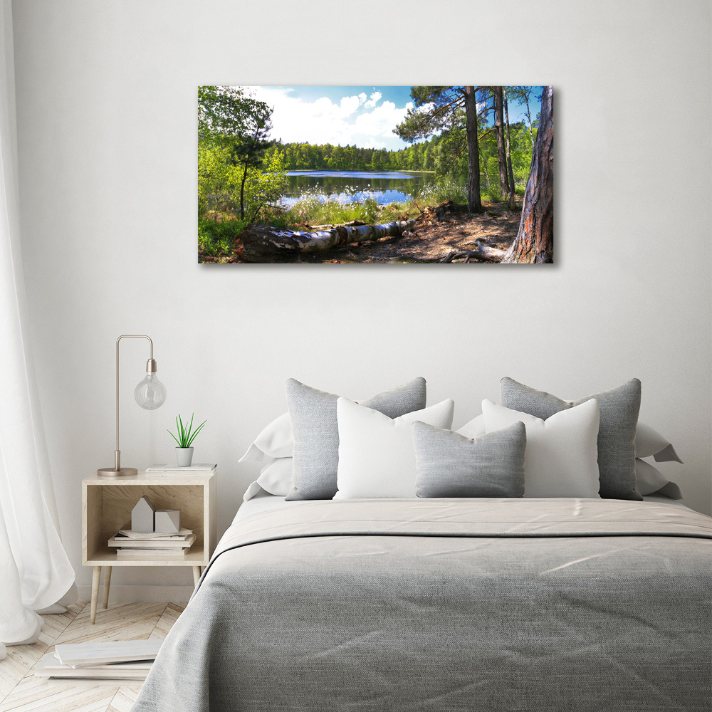 Acrylic wall picture Forest panorama