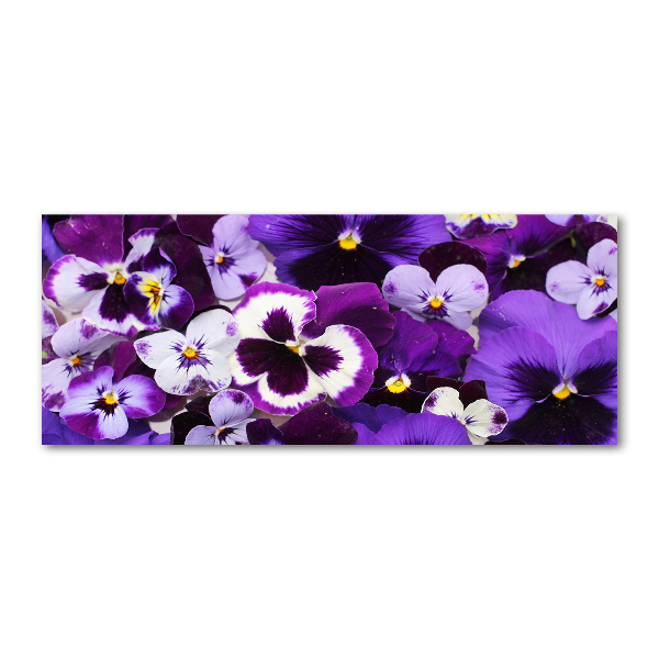 Acrylic print Pansies