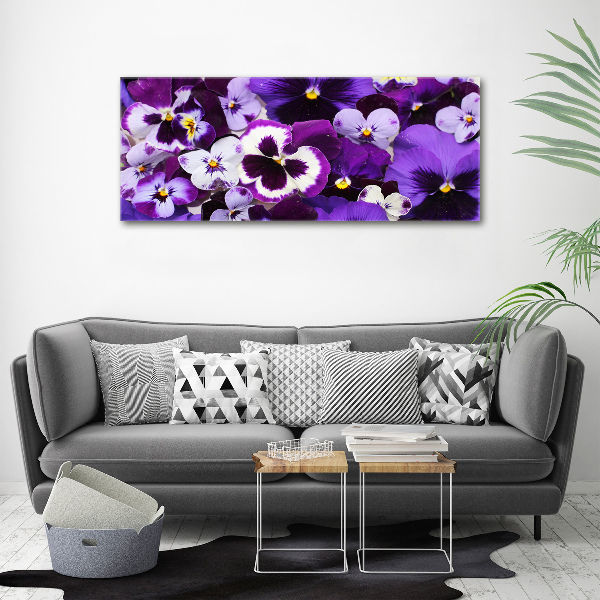 Acrylic print Pansies