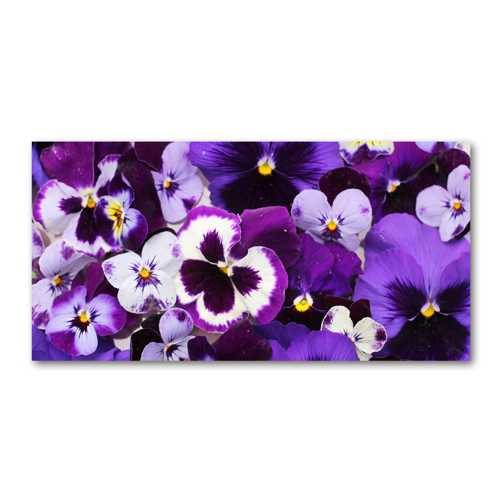 Acrylic print Pansies