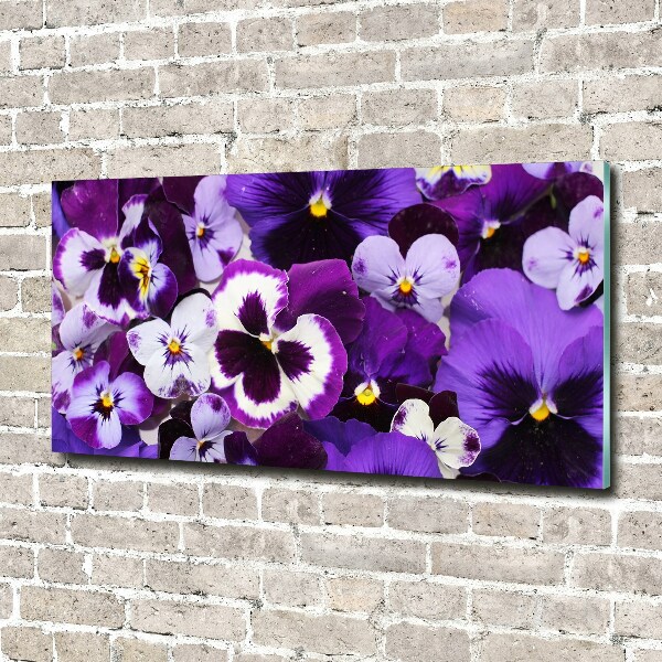 Acrylic print Pansies