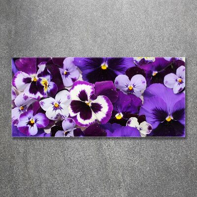 Acrylic print Pansies