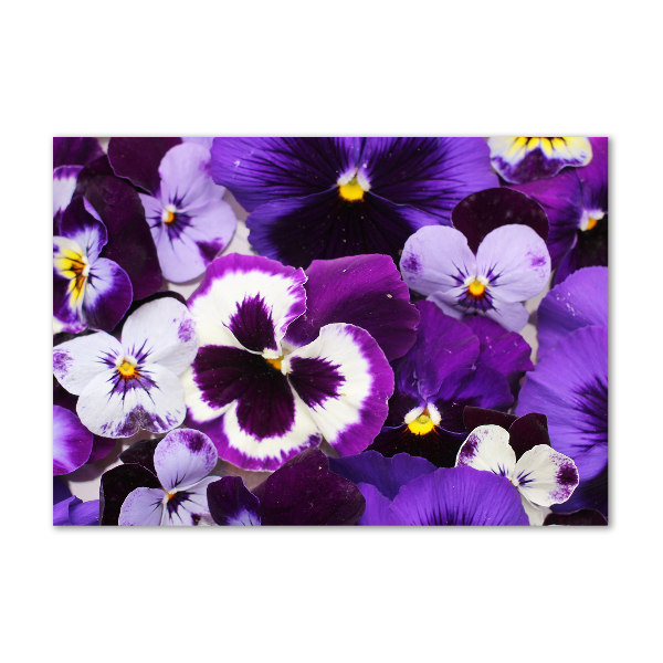 Acrylic print Pansies