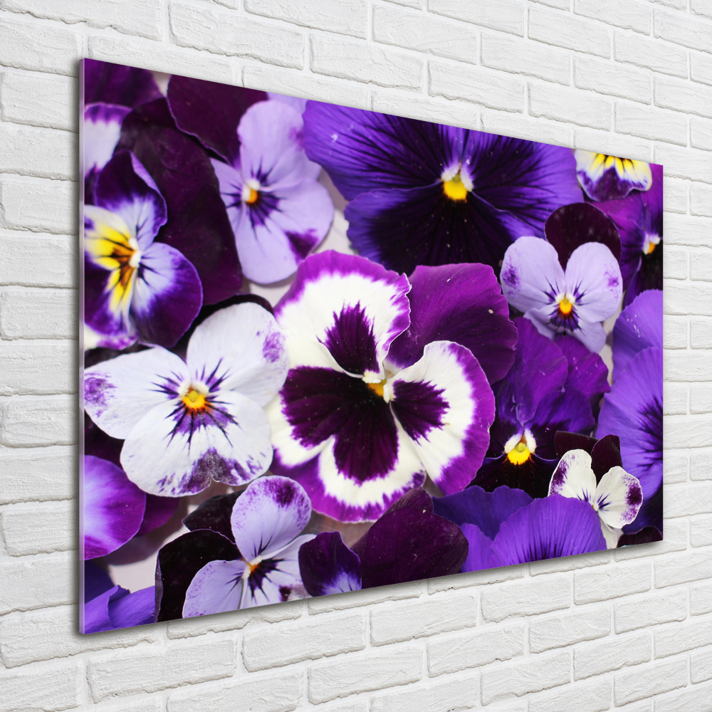 Acrylic print Pansies