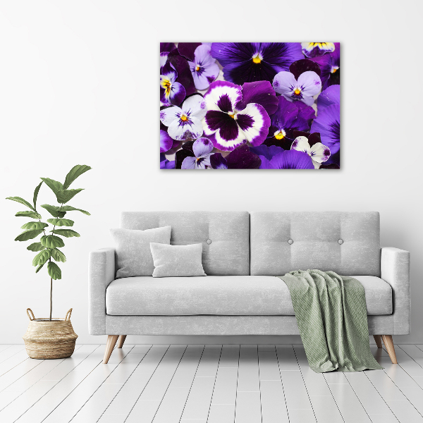 Acrylic print Pansies