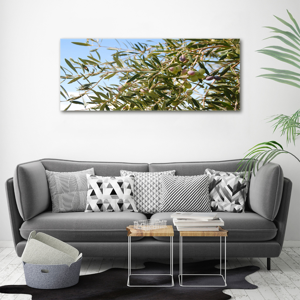 Acrylic print Olive tree