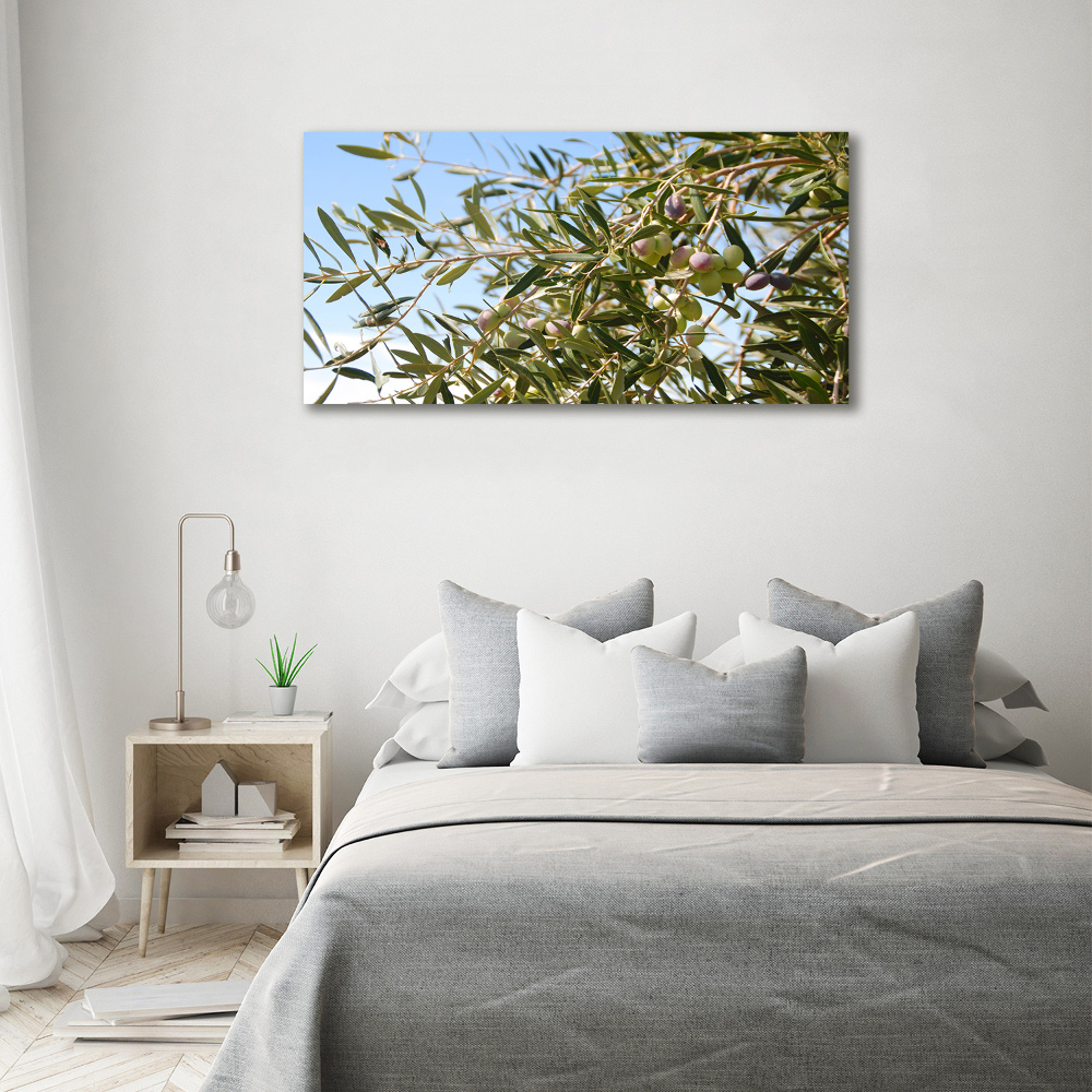 Acrylic print Olive tree