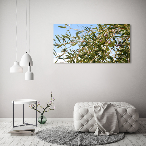 Acrylic print Olive tree