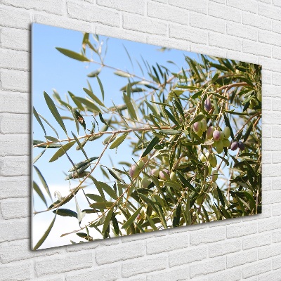 Acrylic print Olive tree