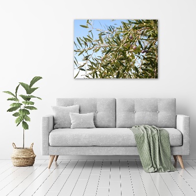 Acrylic print Olive tree