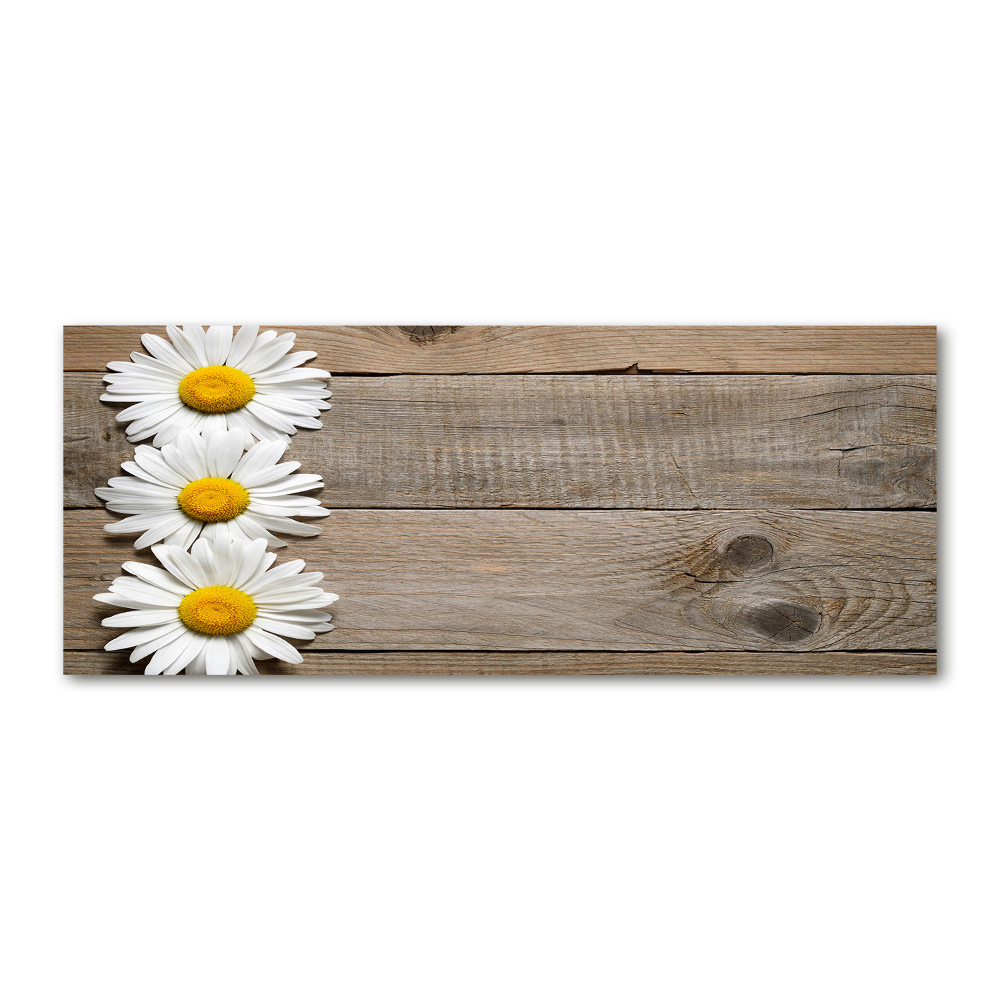 Glass acrylic wall art Daisy wood