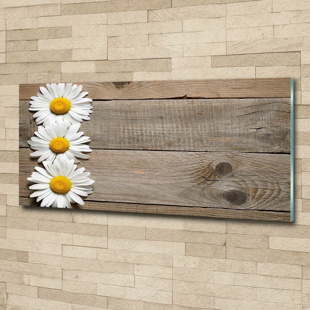 Glass acrylic wall art Daisy wood