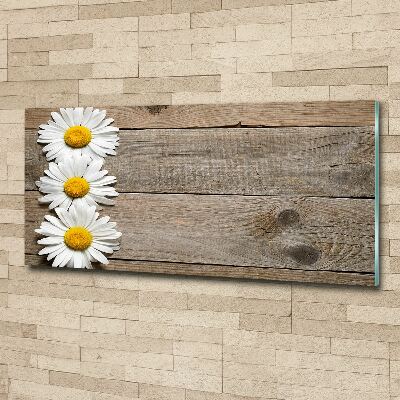 Glass acrylic wall art Daisy wood