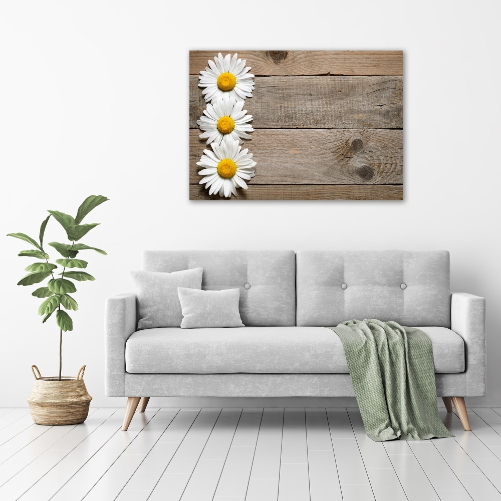 Glass acrylic wall art Daisy wood