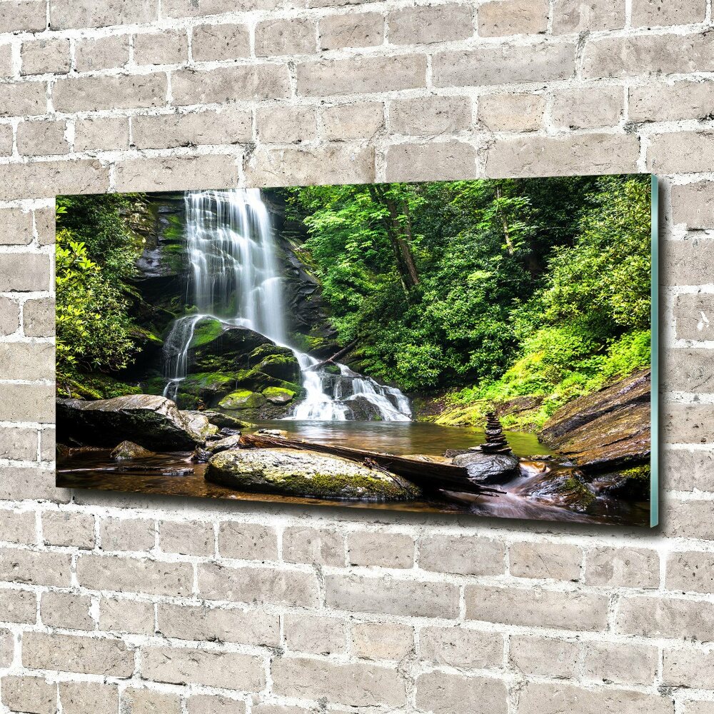 Print on acrylic Waterfall in the forest