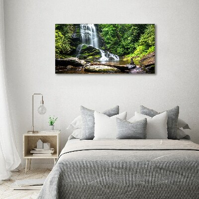 Print on acrylic Waterfall in the forest