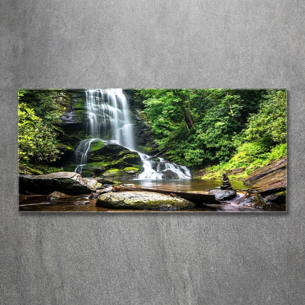 Print on acrylic Waterfall in the forest