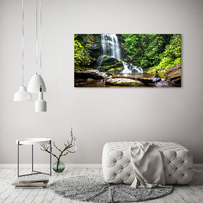 Print on acrylic Waterfall in the forest