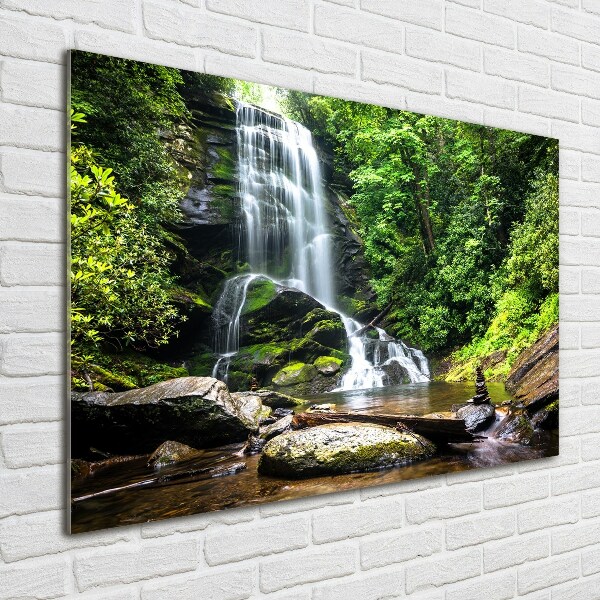 Print on acrylic Waterfall in the forest