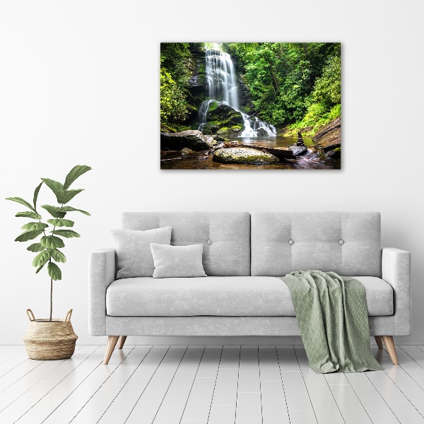 Print on acrylic Waterfall in the forest