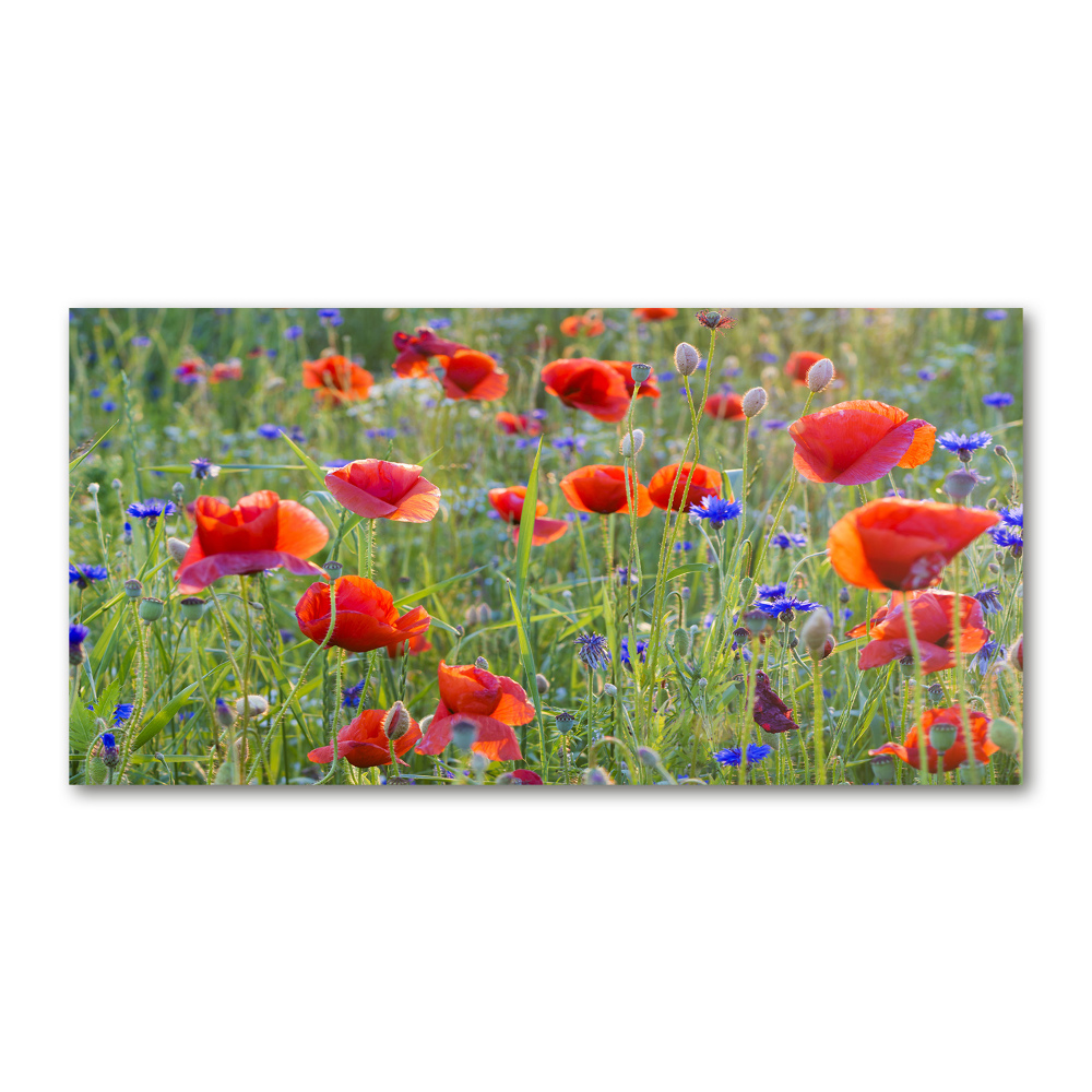 Glass acrylic wall art Field flowers