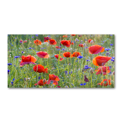 Glass acrylic wall art Field flowers