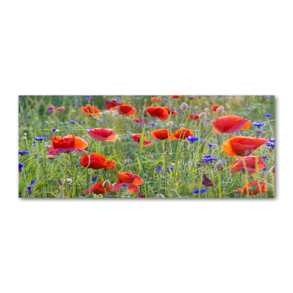 Glass acrylic wall art Field flowers