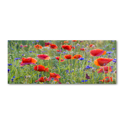 Glass acrylic wall art Field flowers