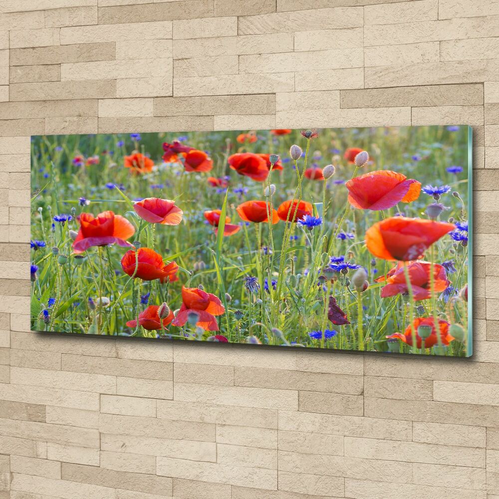 Glass acrylic wall art Field flowers