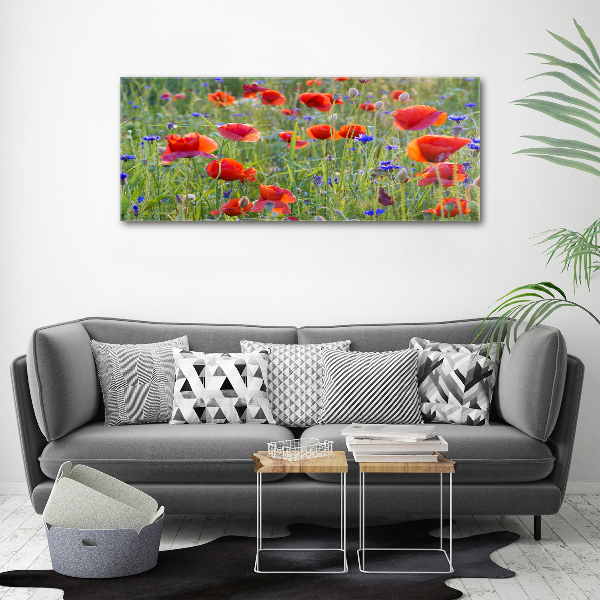 Glass acrylic wall art Field flowers