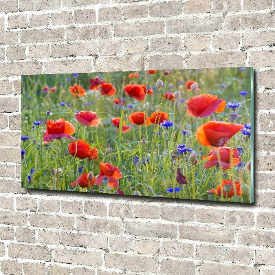 Glass acrylic wall art Field flowers