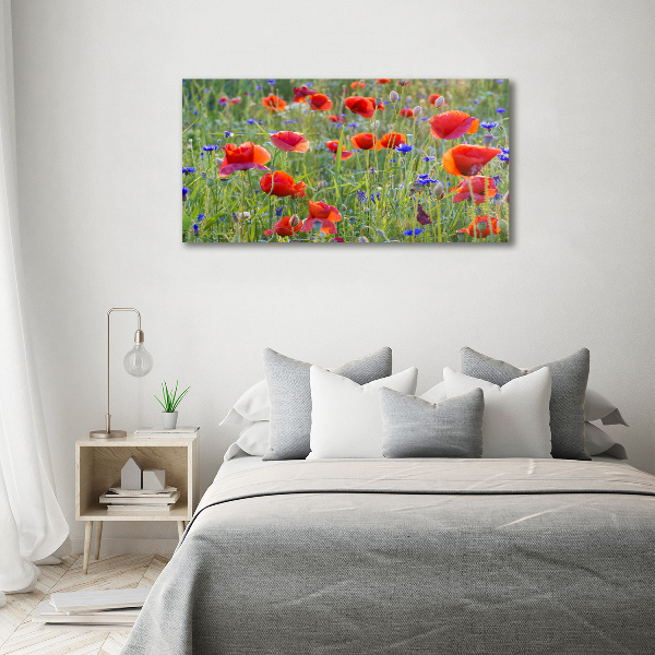 Glass acrylic wall art Field flowers