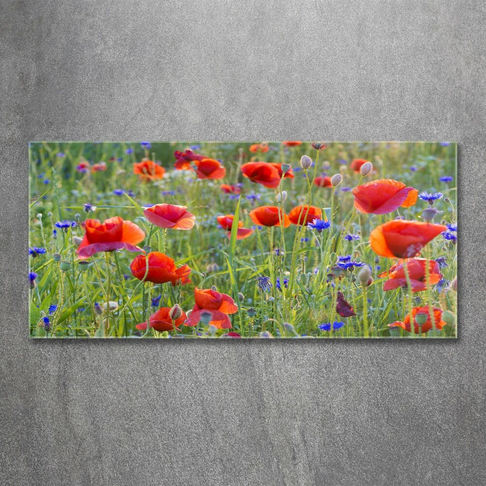 Glass acrylic wall art Field flowers