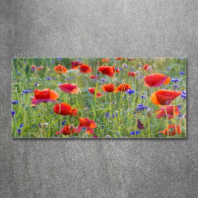 Glass acrylic wall art Field flowers