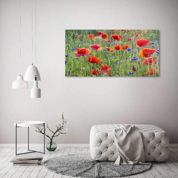 Glass acrylic wall art Field flowers