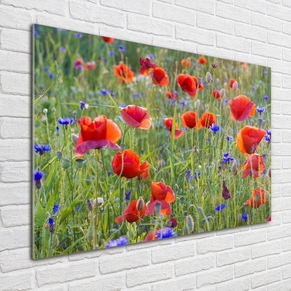 Glass acrylic wall art Field flowers