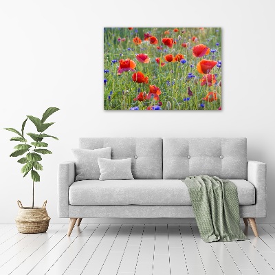 Glass acrylic wall art Field flowers