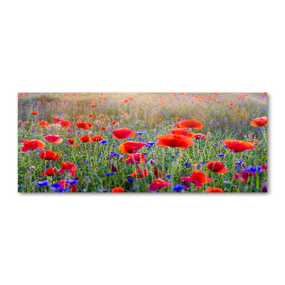 Acrylic print Field flowers