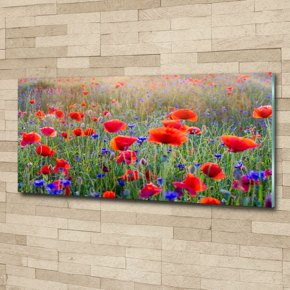 Acrylic print Field flowers