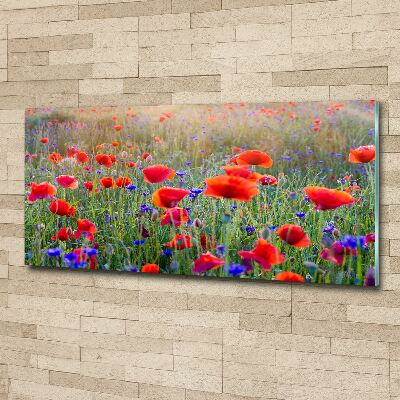 Acrylic print Field flowers