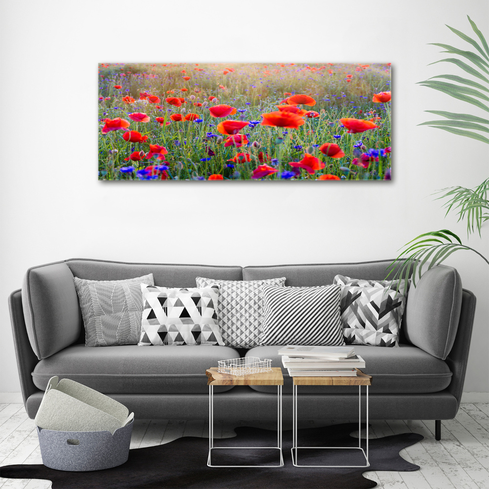 Acrylic print Field flowers