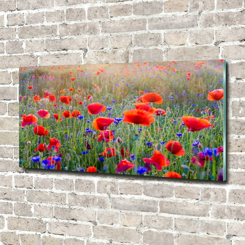 Acrylic print Field flowers