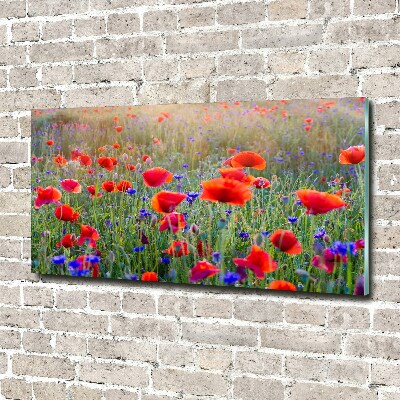 Acrylic print Field flowers