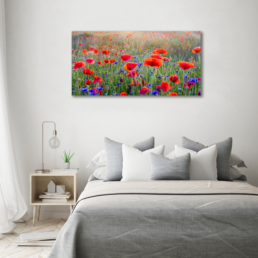 Acrylic print Field flowers