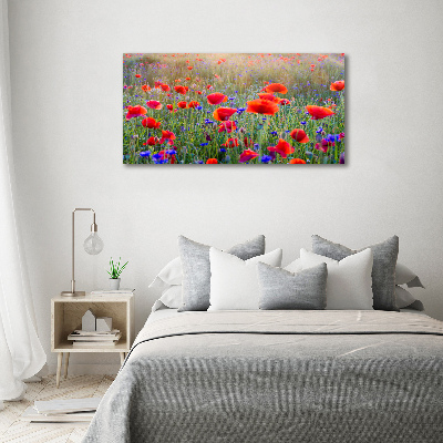 Acrylic print Field flowers